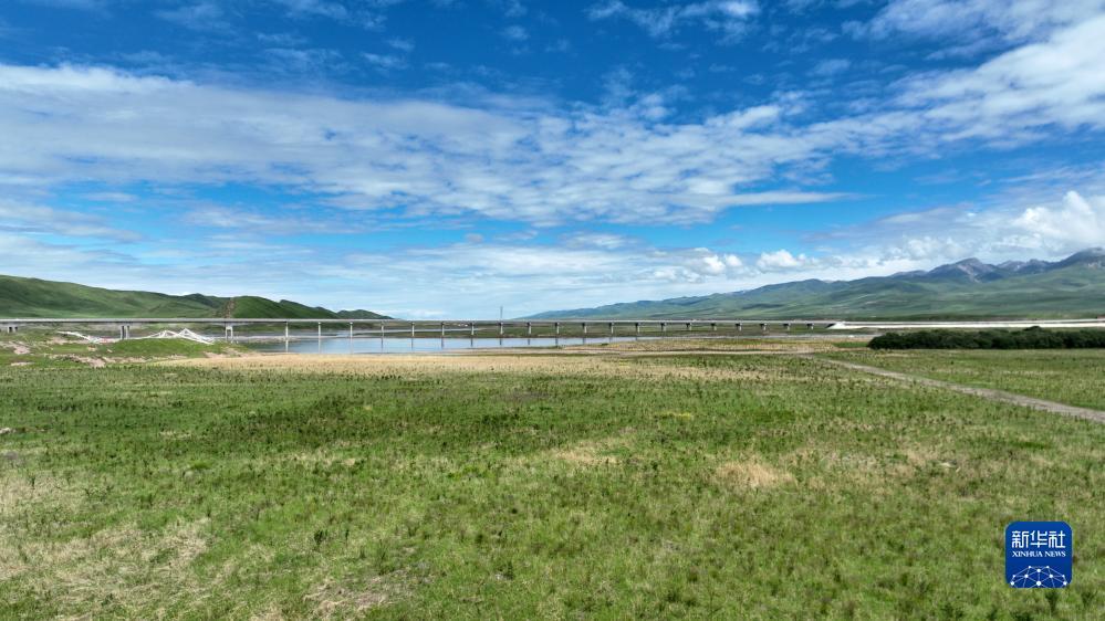 317顶级游戏